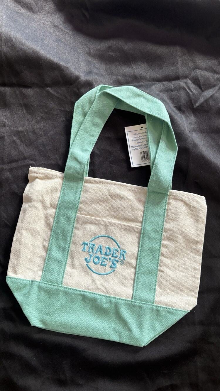 Trader Joes Mini Pastel Canvas Tote Bag New Mint Green Embroidered Logo NWT